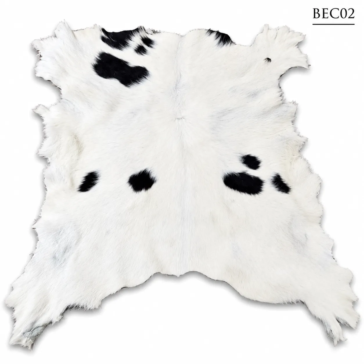 BEC02