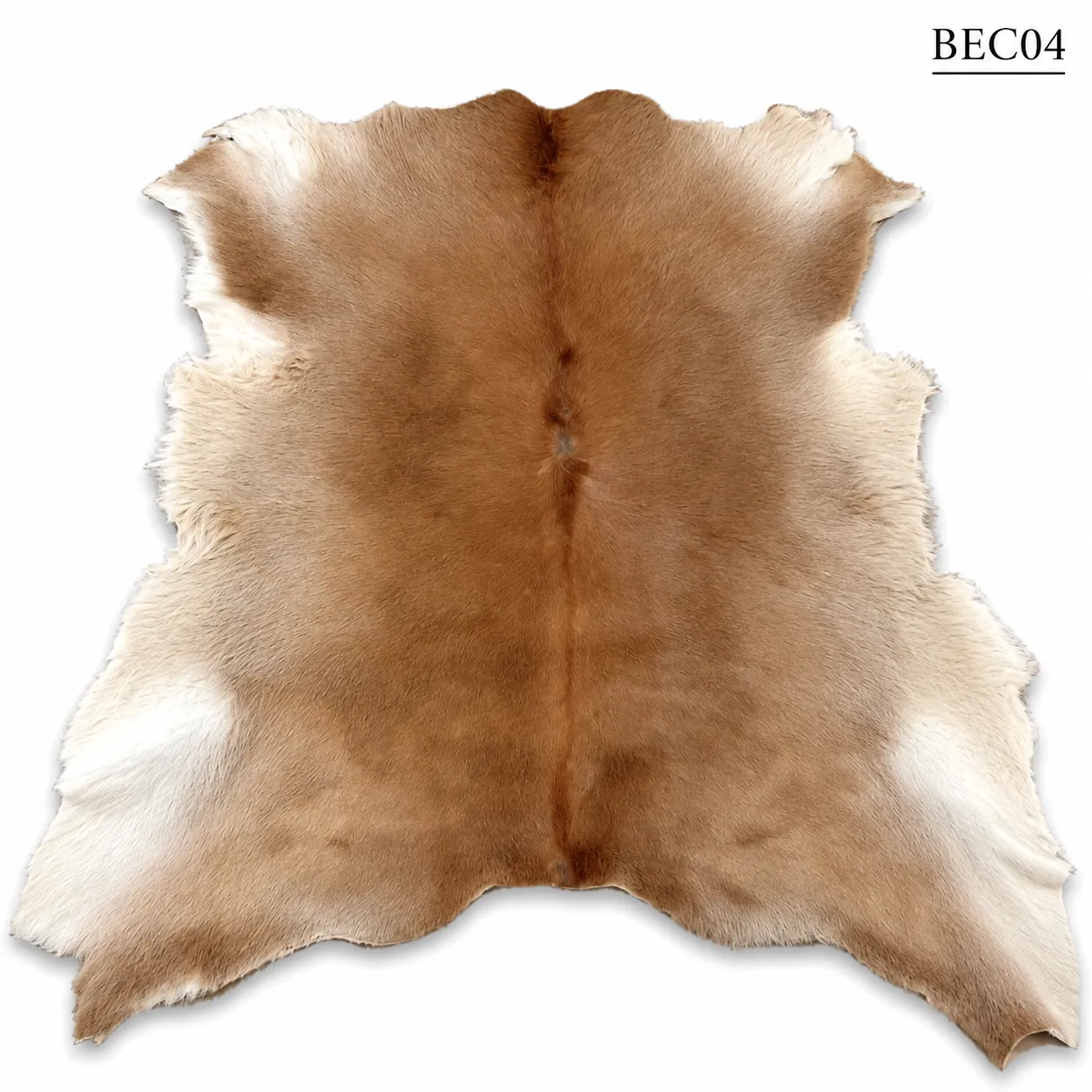 BEC04