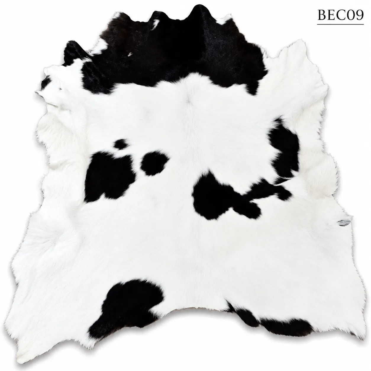 BEC09
