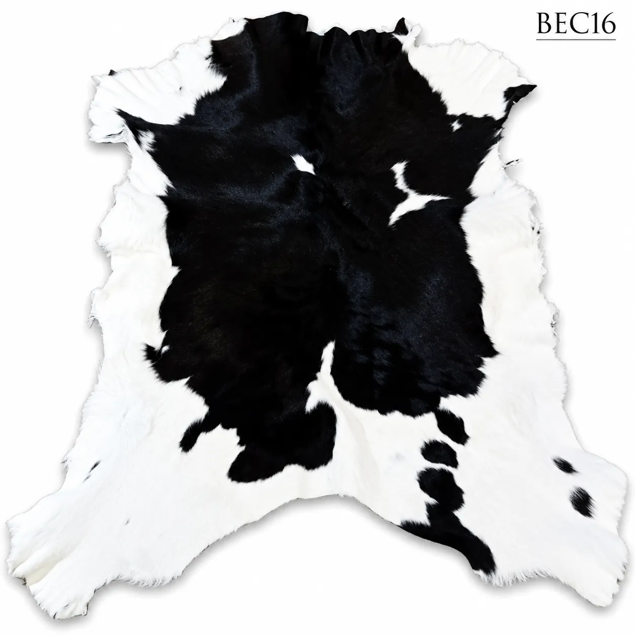 BEC16