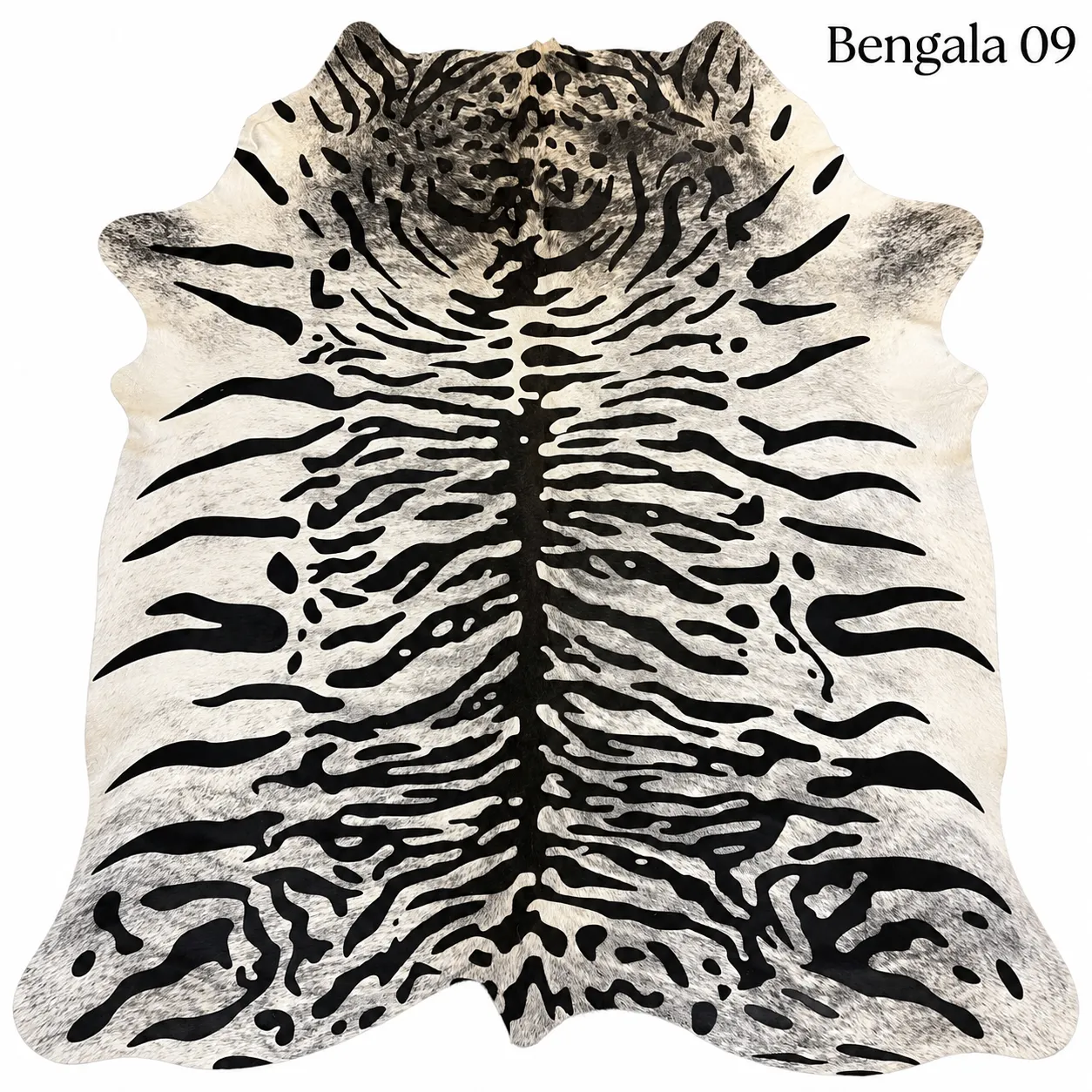 Bengala09