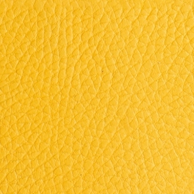 Floater Banana